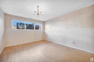 Photo 21: 4911 13 Avenue in Edmonton: Zone 29 House for sale : MLS®# E4369937