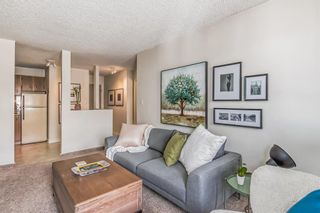 Photo 14: 508 340 14 Avenue SW in Calgary: Beltline Apartment for sale : MLS®# A2038509