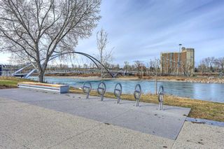 Photo 38: 208 450 8 Avenue SE in Calgary: Downtown East Village Apartment for sale : MLS®# A2080564