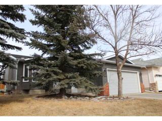 Photo 19: 166 TIPPING Close SE: Airdrie Residential Detached Single Family for sale : MLS®# C3512379