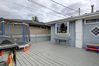 Photo 26: 3303 39 Street SE in Calgary: Dover Detached for sale : MLS®# A1084861
