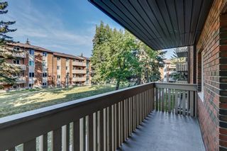 Photo 22: 914 11620 Elbow Drive SW in Calgary: Canyon Meadows Apartment for sale : MLS®# A2003502