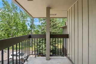 Photo 28: 631 860 Midridge Drive SE in Calgary: Midnapore Apartment for sale : MLS®# A2054722