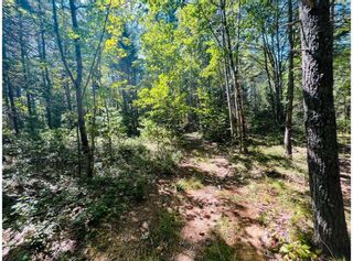 Photo 7: Lot Sarah Drive in Coldbrook: Kings County Vacant Land for sale (Annapolis Valley)  : MLS®# 202221449