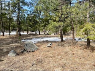 Photo 5: LOT 4 WHITETAIL Place in Osoyoos: Vacant Land for sale : MLS®# 10308924