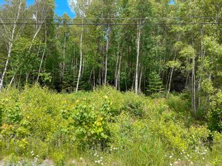 Photo 6: Lot 22-1 Pleasant Drive in Lyons Brook: 108-Rural Pictou County Vacant Land for sale (Northern Region)  : MLS®# 202215225