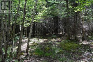 Photo 30: Lot 1 Blue Rocks Road in Garden Lots: Vacant Land for sale : MLS®# 202313149