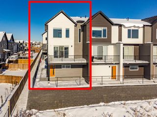 Photo 45: 303 Skyview Ranch Circle NE in Calgary: Skyview Ranch Row/Townhouse for sale : MLS®# A2011125