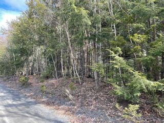 Photo 2: Lot 19 Tri Lake Drive in Labelle: 406-Queens County Vacant Land for sale (South Shore)  : MLS®# 202204773