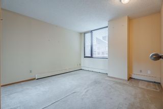 Photo 21: 502D 500 Eau Claire Avenue SW in Calgary: Eau Claire Apartment for sale : MLS®# A2054964