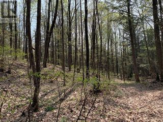 Photo 11: 18 JOHNSON Road in Apsley: Vacant Land for sale : MLS®# 40421063