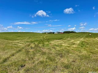 Photo 42: Prairie Meadow Lane Acreage in Colonsay: Residential for sale (Colonsay Rm No. 342)  : MLS®# SK914748