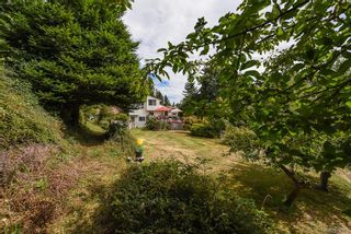 Photo 30: 3777 Laurel Dr in Royston: CV Courtenay South House for sale (Comox Valley)  : MLS®# 870375