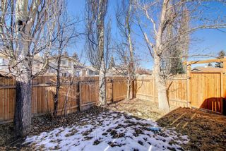 Photo 47: 127 Sunmills Place SE in Calgary: Sundance Detached for sale : MLS®# A1179666
