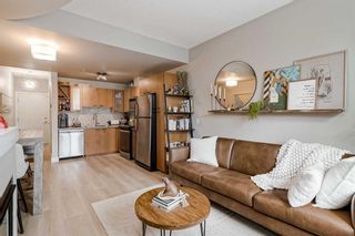 Photo 7:  in Calgary: Mission Apartment for sale : MLS®# A2118884