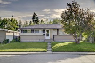 Main Photo: 4431 3 Street NE in Calgary: Greenview Detached for sale : MLS®# A1232463
