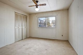 Photo 17: 209 Sunset Boulevard SW in Diamond Valley: A-7662 Detached for sale : MLS®# A2104129