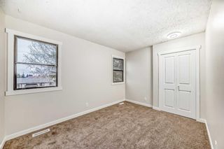 Photo 13: 6740 Temple Drive NE in Calgary: Temple Detached for sale : MLS®# A2116546
