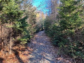 Photo 1: 1787 Italy Cross Road in Petite Rivière: 405-Lunenburg County Vacant Land for sale (South Shore)  : MLS®# 202226632