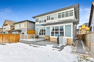 Photo 40: 17 Masters Park SE in Calgary: Mahogany Detached for sale : MLS®# A2013887