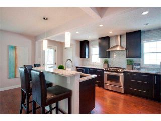 Photo 6: 1049 REGAL Crescent NE in Calgary: Renfrew_Regal Terrace House for sale : MLS®# C4013292