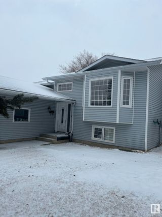 Photo 3: 4103 19 Avenue in Edmonton: Zone 29 House for sale : MLS®# E4379330