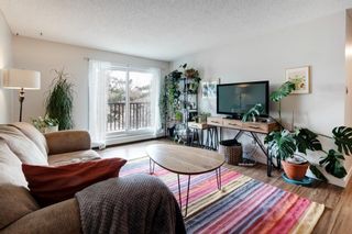 Photo 6: 317 550 Westwood Drive SW in Calgary: Westgate Apartment for sale : MLS®# A1242531
