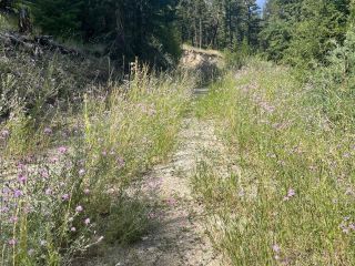 Photo 9: 6935 CARIBOO HWY 97: Clinton Lots/Acreage for sale (North West)  : MLS®# 170753