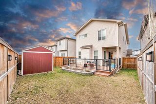 Photo 32: 29 Panora View NW in Calgary: Panorama Hills Detached for sale : MLS®# A2127278