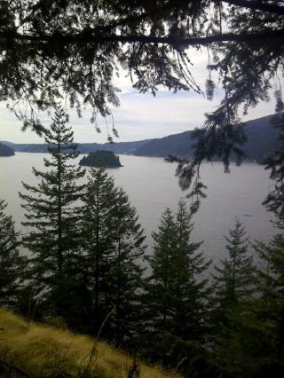 Photo 15: LOT - 2 & 3 INDIAN ARM in Port Moody: Belcarra Land for sale : MLS®# R2590603
