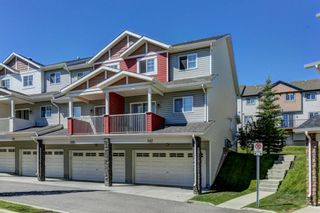 Photo 26: 247 Pantego Lane NW in Calgary: Panorama Hills Row/Townhouse for sale : MLS®# A2001476