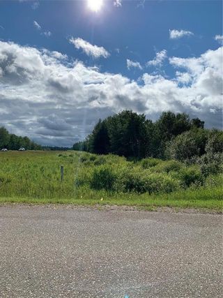 Photo 4: 0 SE08-08-15E at HWY 1 & Road 86E Highway in Falcon Lake: Industrial / Commercial / Investment for sale (R29 - Whiteshell)  : MLS®# 202224612