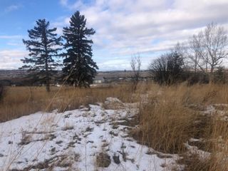 Photo 14: 16022 402 Avenue E: Rural Foothills County Land for sale : MLS®# A1051546