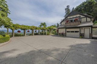 Photo 16: 43810 CHILLIWACK MOUNTAIN ROAD in Chilliwack: Chilliwack Mountain House for sale or rent : MLS®# R2425979