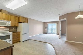 Photo 4: 305 400 1ST Avenue SE in Diamond Valley: A-7662 Apartment for sale : MLS®# A2062541