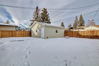 Photo 42: 28 Penworth Crescent SE in Calgary: Penbrooke Meadows Detached for sale : MLS®# A2016281