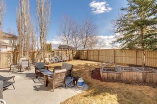 Photo 44: 114 Mt Gibraltar Heights SE in Calgary: McKenzie Lake Detached for sale : MLS®# A1201987