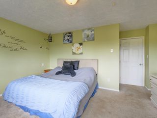 Photo 10: 4157 Carey Rd in Saanich: SW Northridge House for sale (Saanich West)  : MLS®# 932564