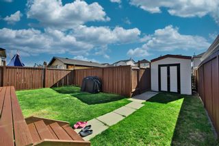 Photo 39: 44 Bridlecrest Street SW in Calgary: Bridlewood Detached for sale : MLS®# A2048838