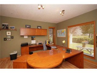 Photo 15: 430 FAIRWAYS Mews NW: Airdrie Residential Detached Single Family for sale : MLS®# C3591395