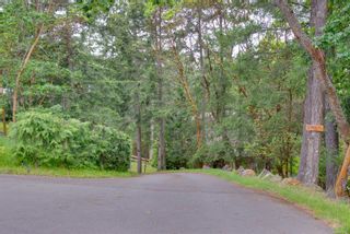Photo 84: 4700 Kerryview Dr in Saanich: SW Prospect Lake House for sale (Saanich West)  : MLS®# 906166