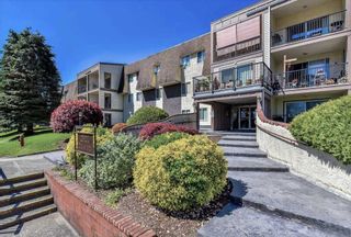 Photo 19: 109 2821 TIMS Street in Abbotsford: Abbotsford West Condo for sale in "Parkview Estates" : MLS®# R2212181