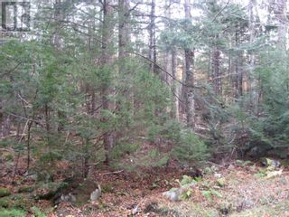 Photo 5: Lot 6 Hemlock Crescent in Labelle: Vacant Land for sale : MLS®# 202324432