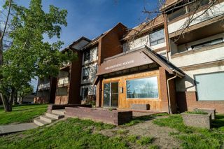 Main Photo: 311 1712 38 Street SE in Calgary: Forest Lawn Apartment for sale : MLS®# A2137958