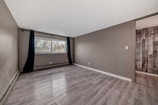 Photo 31: 114 6919 Elbow Drive SW in Calgary: Kelvin Grove Apartment for sale : MLS®# A2129812