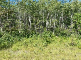 Photo 2: 0 MUN 38E Road in Tache Rm: Vacant Land for sale : MLS®# 202318812