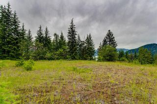 Photo 16: Lot 2 Cedar Drive in Blind Bay: Vacant Land for sale : MLS®# 10256384