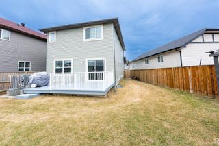 Photo 13: 329 Martin Crossing Place NE in Calgary: Martindale Detached for sale : MLS®# A2052019