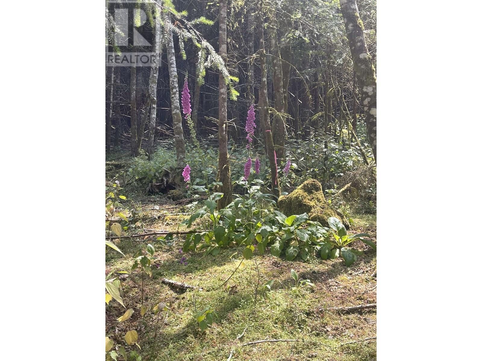 Main Photo: LOT C SEYMOUR ROAD in Gabriola Island: Vacant Land for sale : MLS®# R2793848