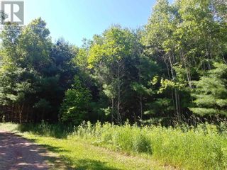 Photo 9: Lot 14 Birch Lane in Georgetown Royalty: Vacant Land for sale : MLS®# 202216503